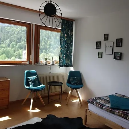 Haus Am Berg 8-13 Personen Dom wakacyjny St. Blasien