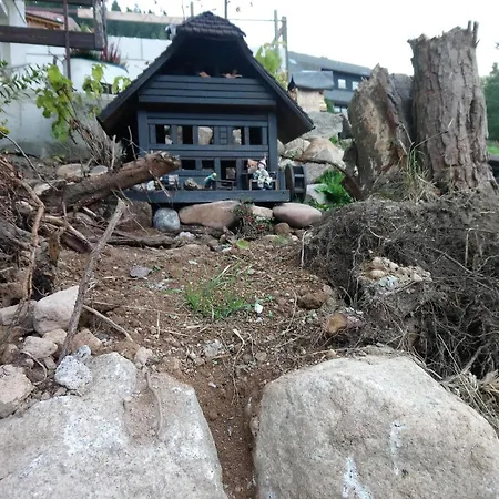 Haus Am Berg 8-13 Personen Dom wakacyjny St. Blasien